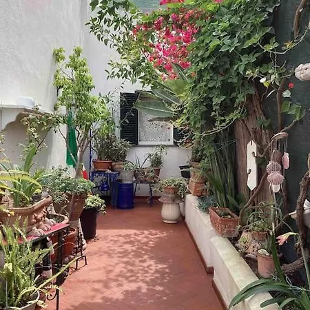 Forio & Mo מלון Forio di Ischia